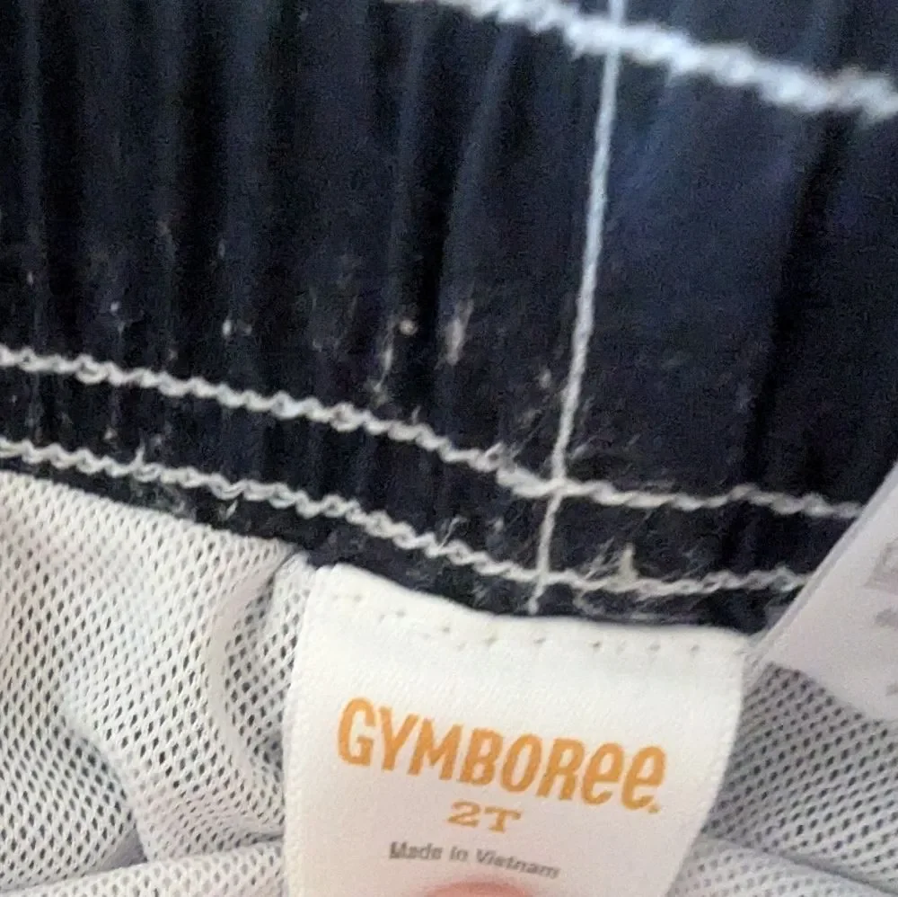 Gymboree | Blue Swim Shorts with Colorful Crocodile